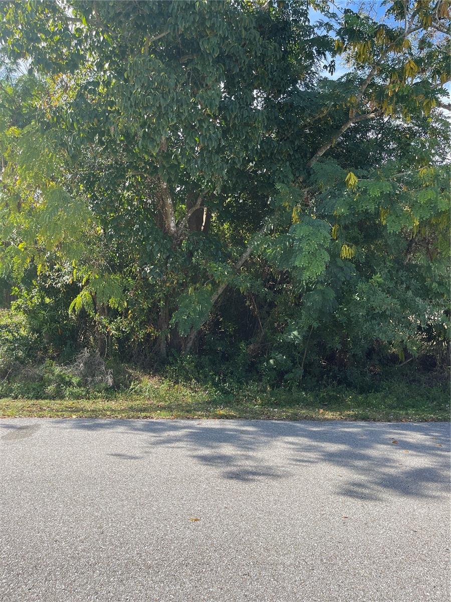 Image 5 of 20 For 5407 Wilson Drive