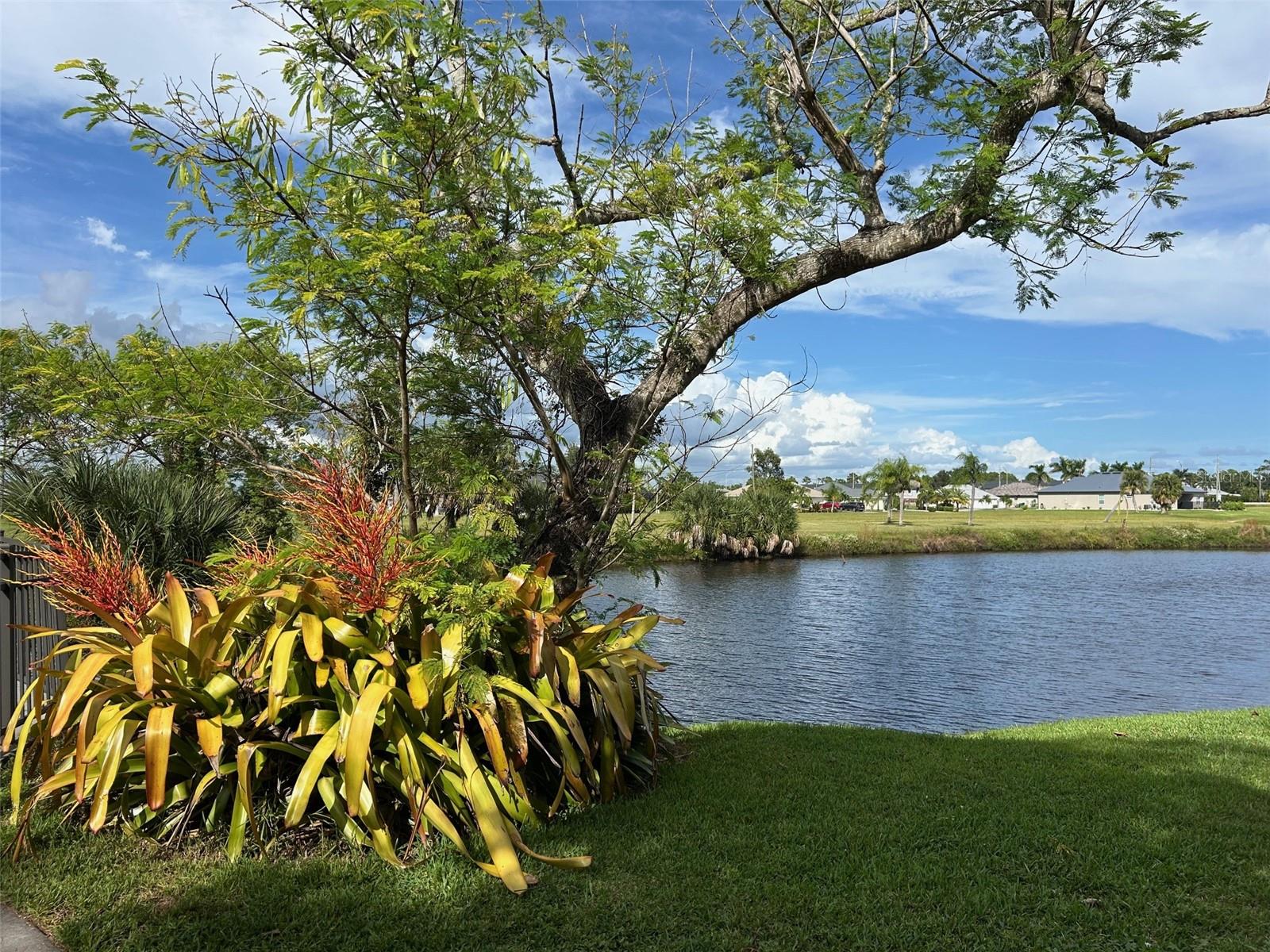 Image 9 of 16 For 17534 Cuillagan Court