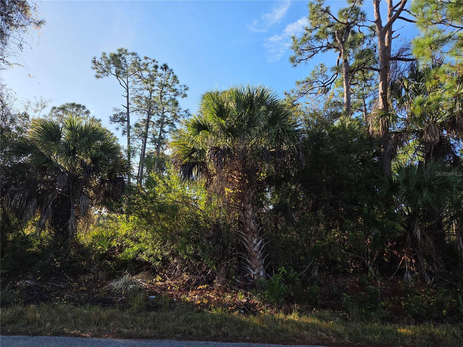 Details for 23507 Spencer Court, PUNTA GORDA, FL 33980