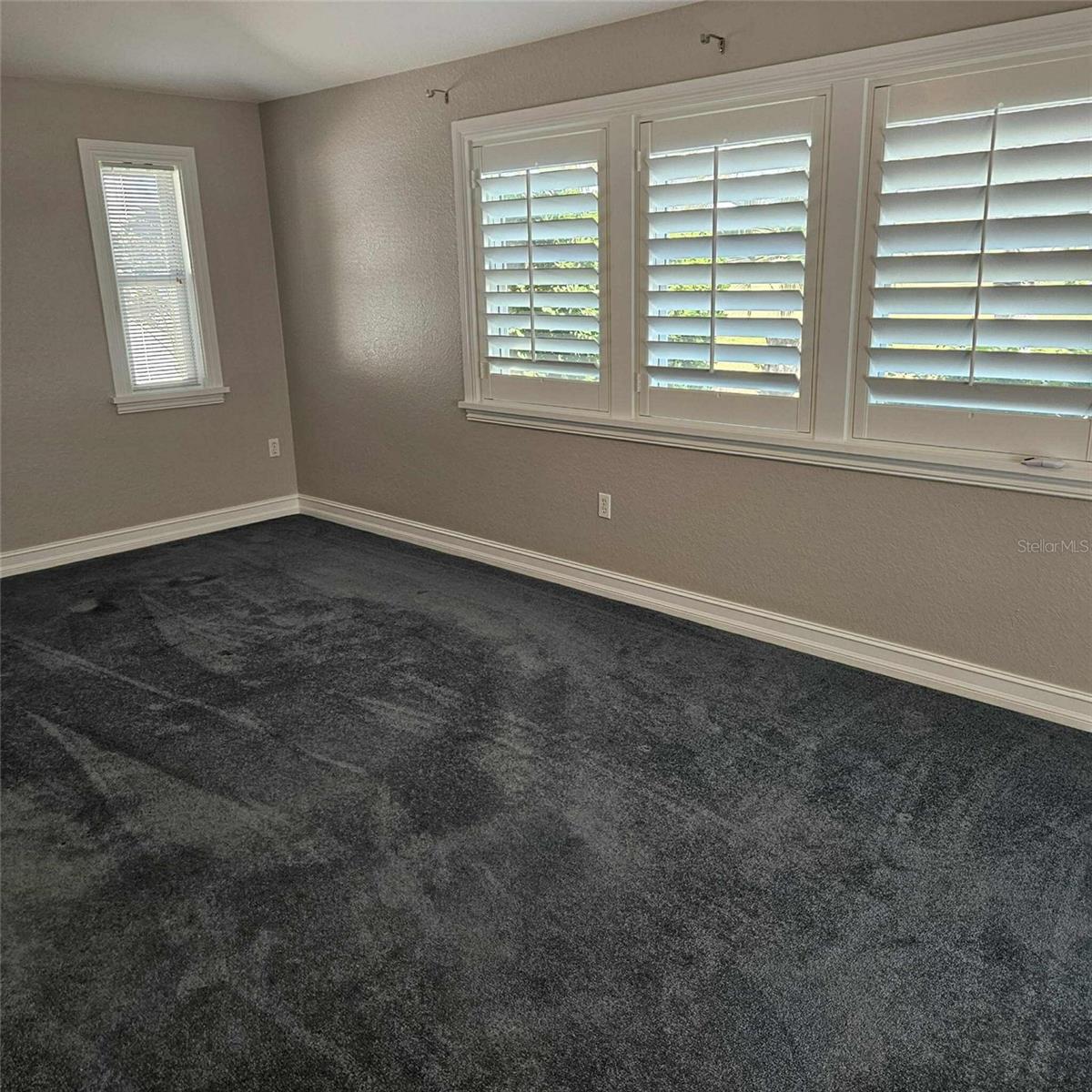 Image 20 of 47 For 7418 Tulip Tree