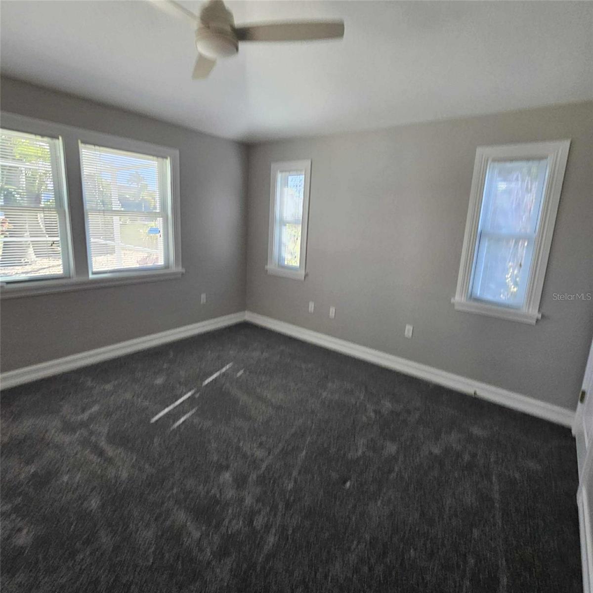 Image 30 of 47 For 7418 Tulip Tree