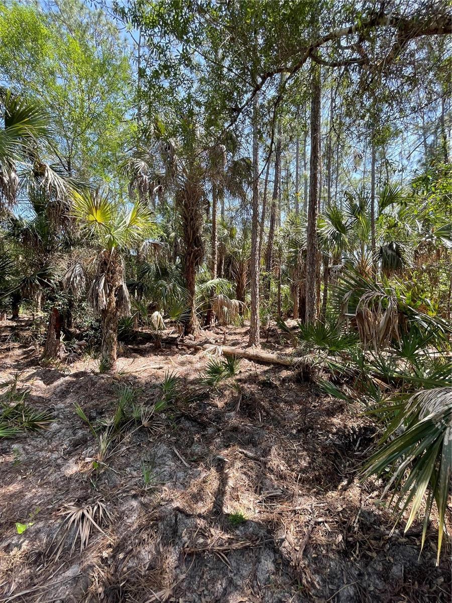 Image 3 of 14 For 49765 Bermont Road