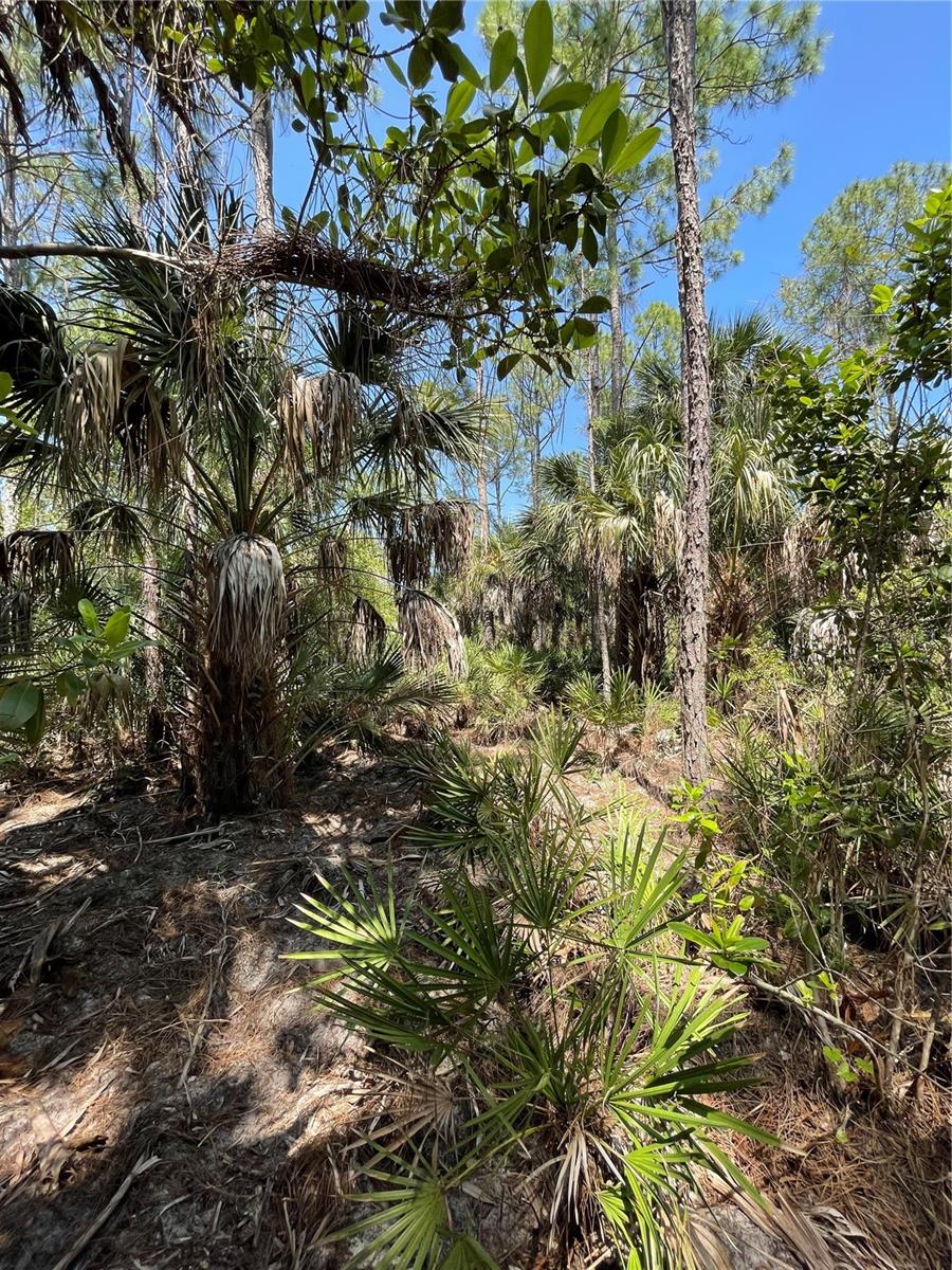 Image 4 of 14 For 49765 Bermont Road