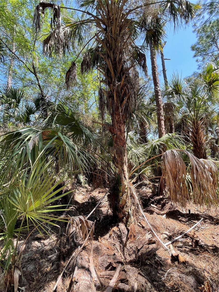 Image 5 of 14 For 49765 Bermont Road