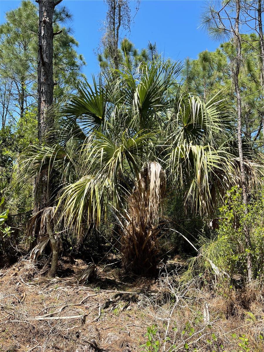 Image 6 of 14 For 49765 Bermont Road
