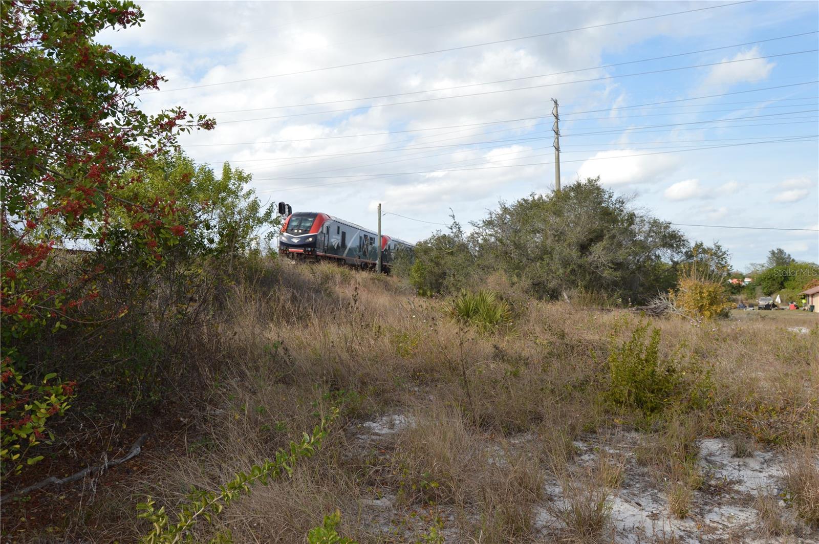 Image 9 of 25 For 1472 Williams Gray Court