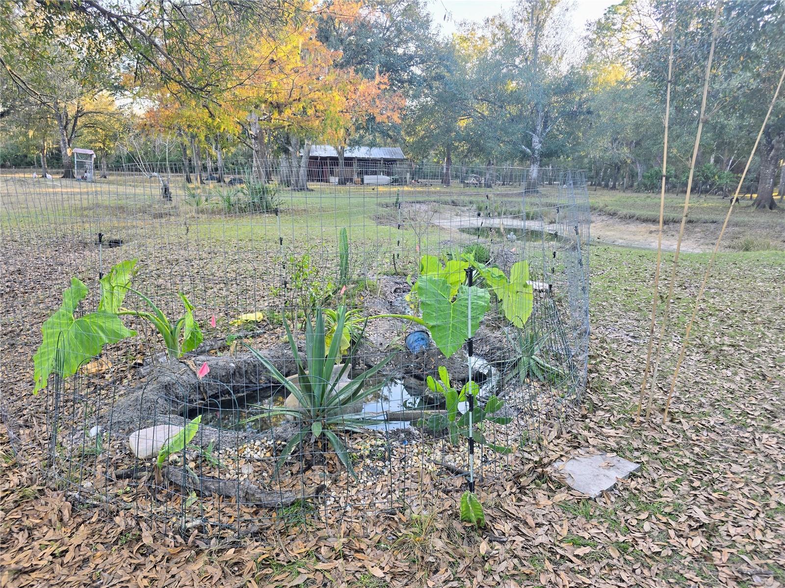 Image 15 of 18 For 2207 Blossom Avenue