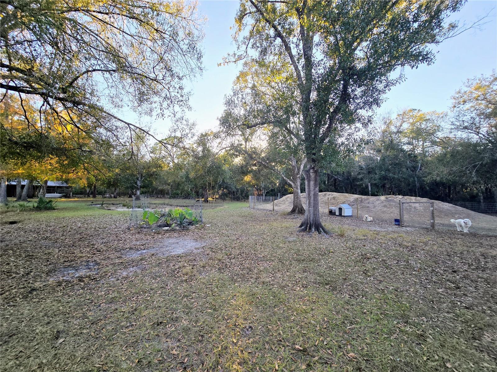 Image 16 of 18 For 2207 Blossom Avenue