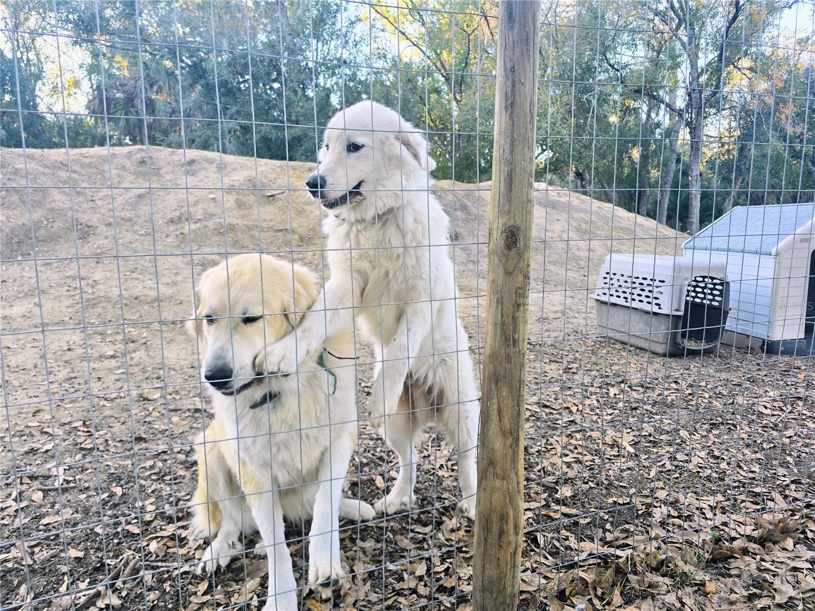 Image 8 of 18 For 2207 Blossom Avenue