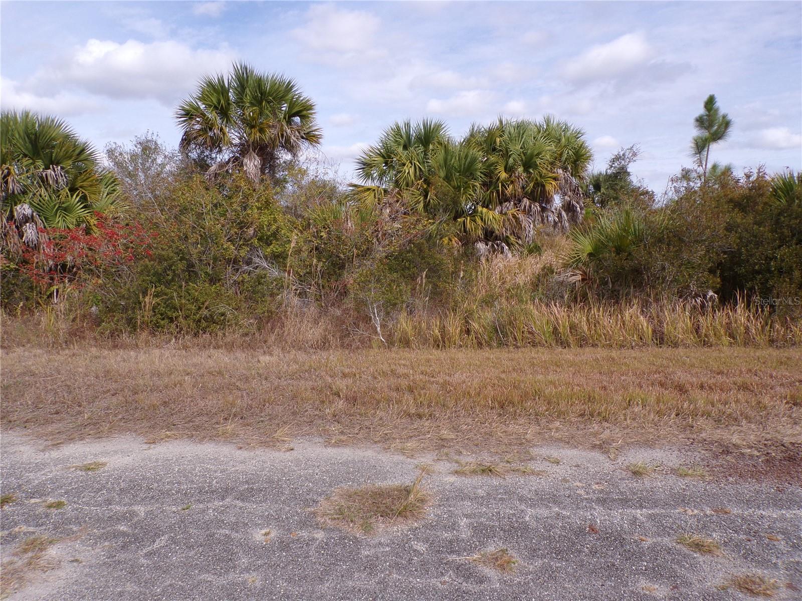 Listing photo id 3 for Magellan Street