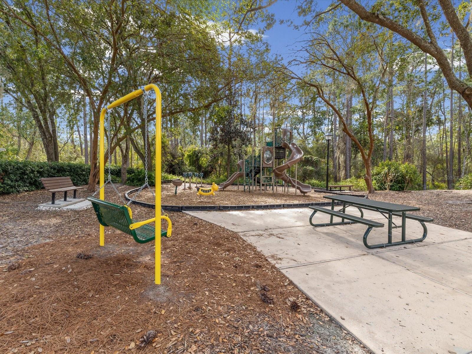 Image 60 of 62 For 19719 Spring Willow Court