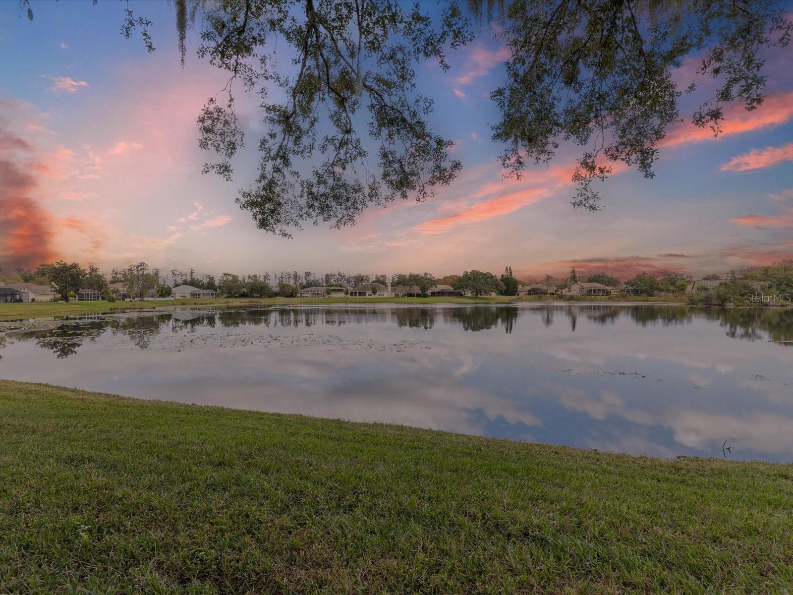 Image 62 of 62 For 19719 Spring Willow Court