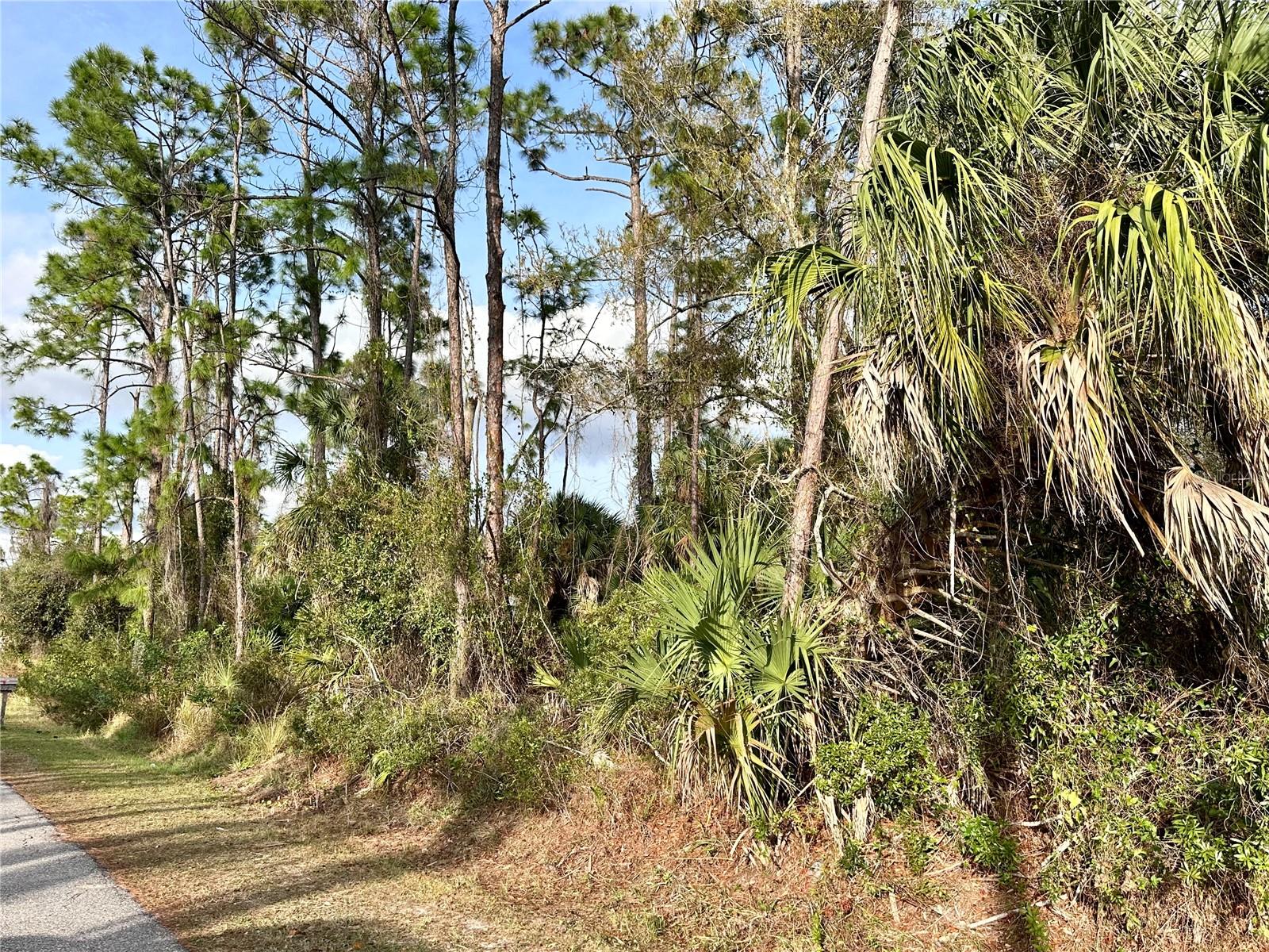 Image 2 of 10 For  Cleo Street 