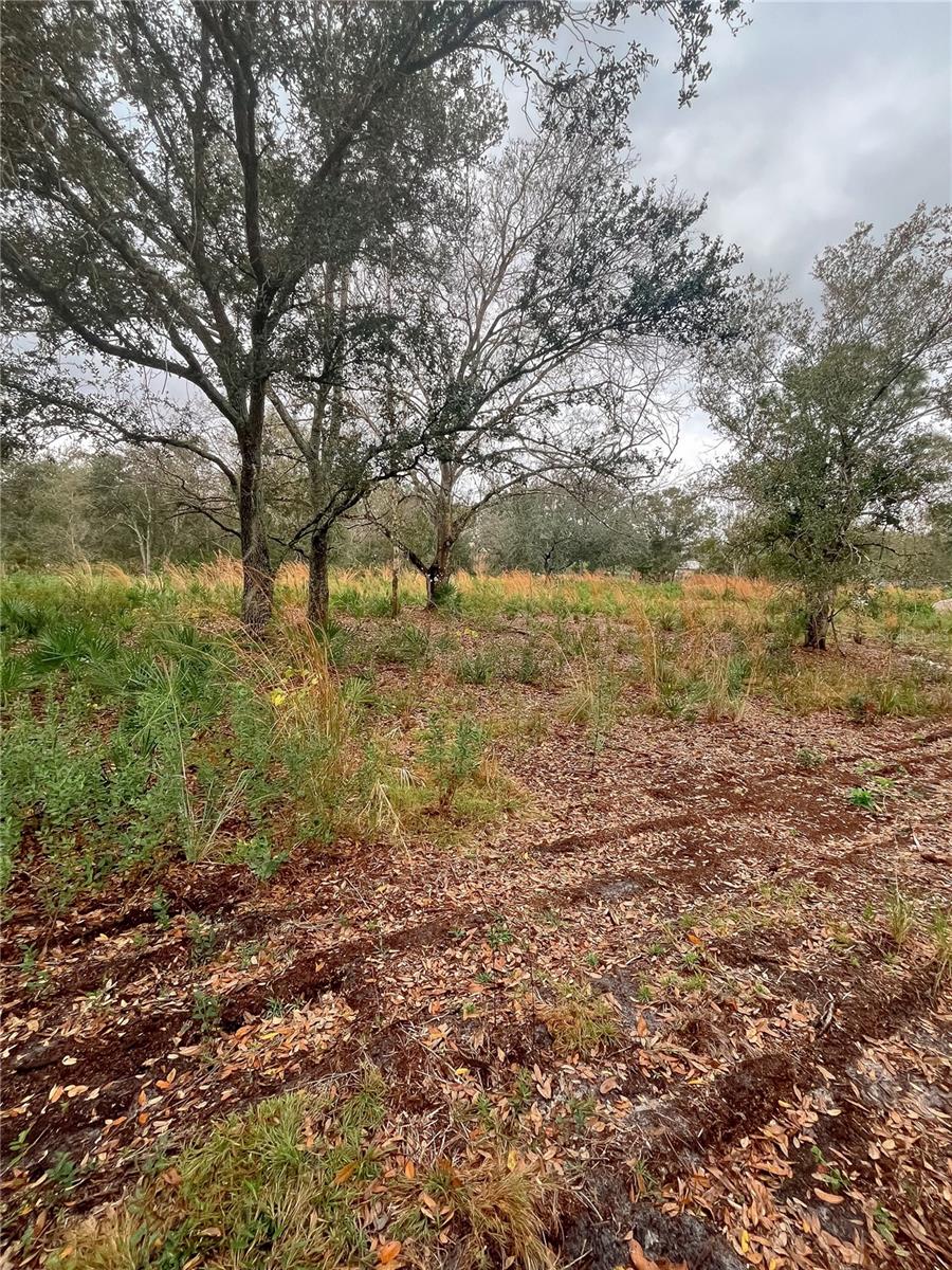 Image 2 of 7 For 4683 Rye Avenue