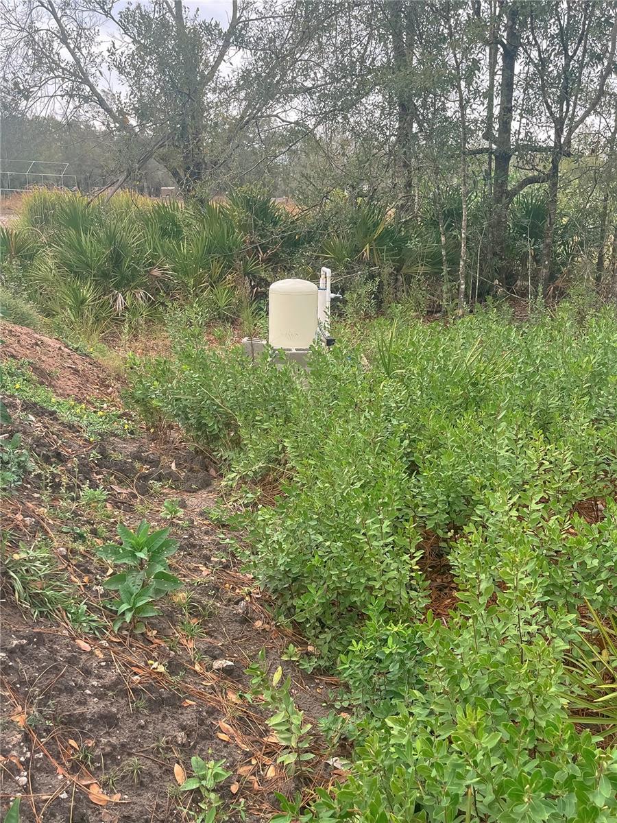 Image 5 of 7 For 4683 Rye Avenue