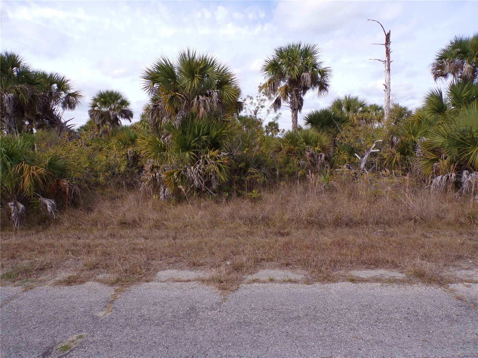 Listing photo id 3 for Fireglow Circle