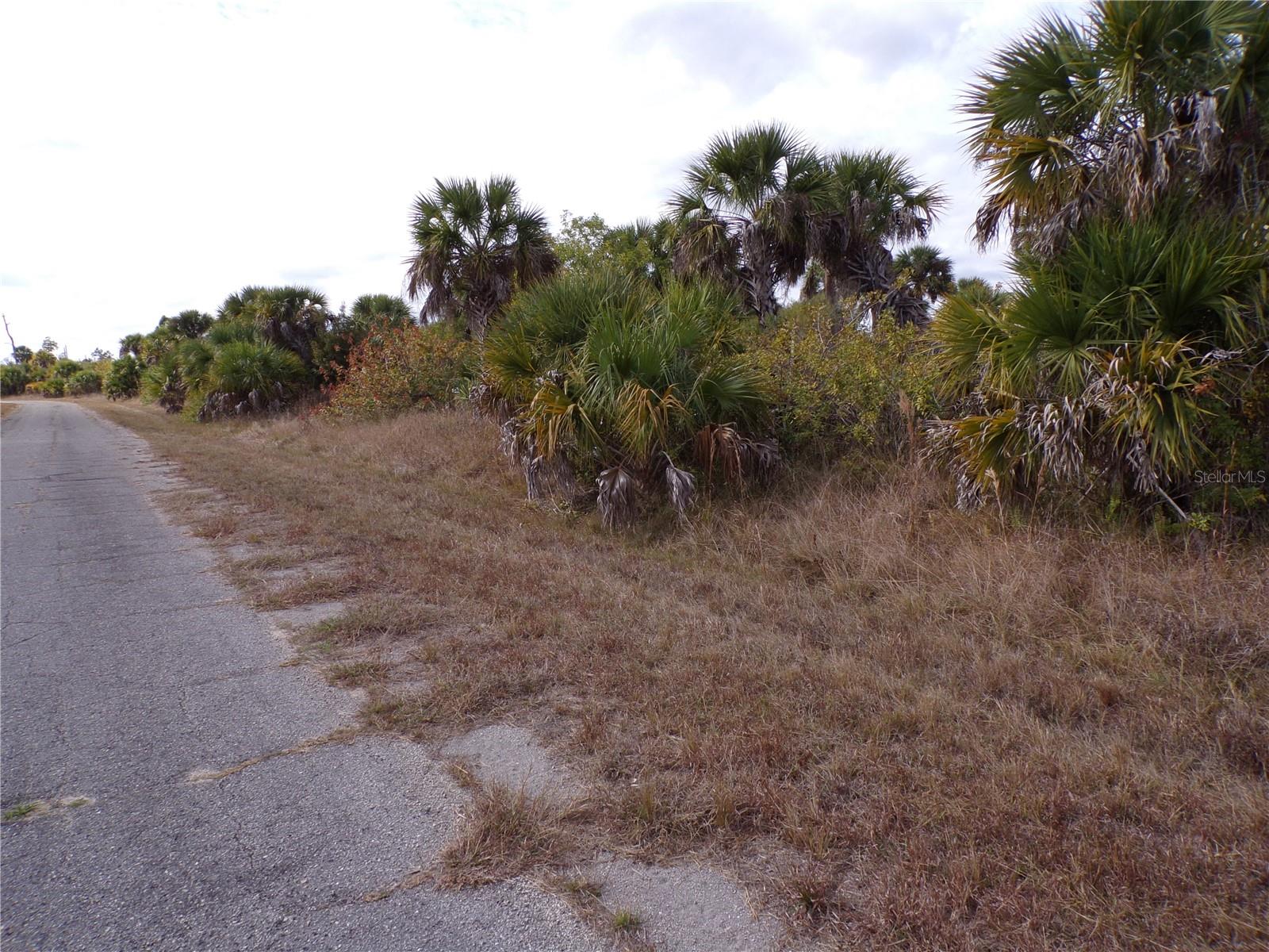 Listing photo id 5 for Fireglow Circle