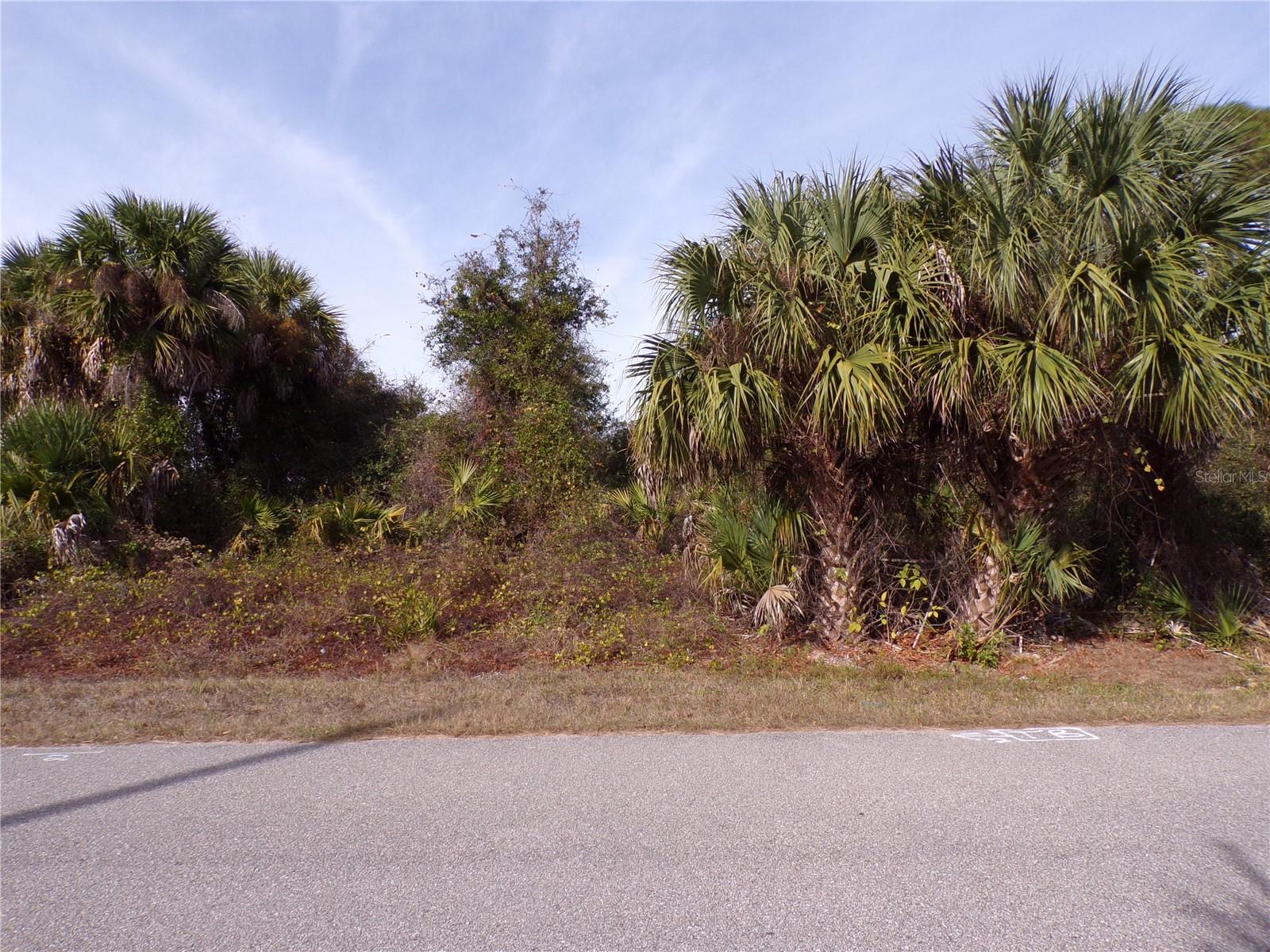 Details for Brewster Road, NORTH PORT, FL 34288