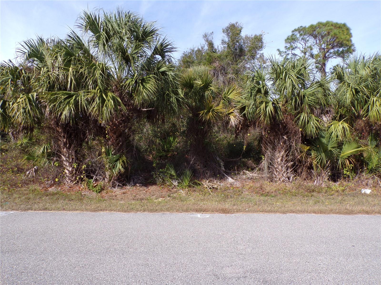 Image 5 of 10 For Brewster Road