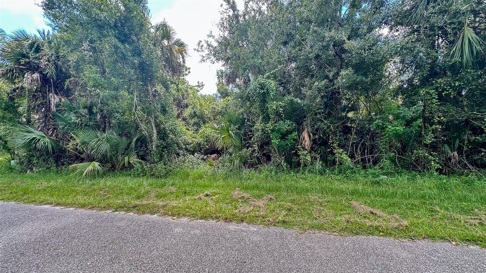 Image 10 of 19 For Lot 12 Walmsley Avenue