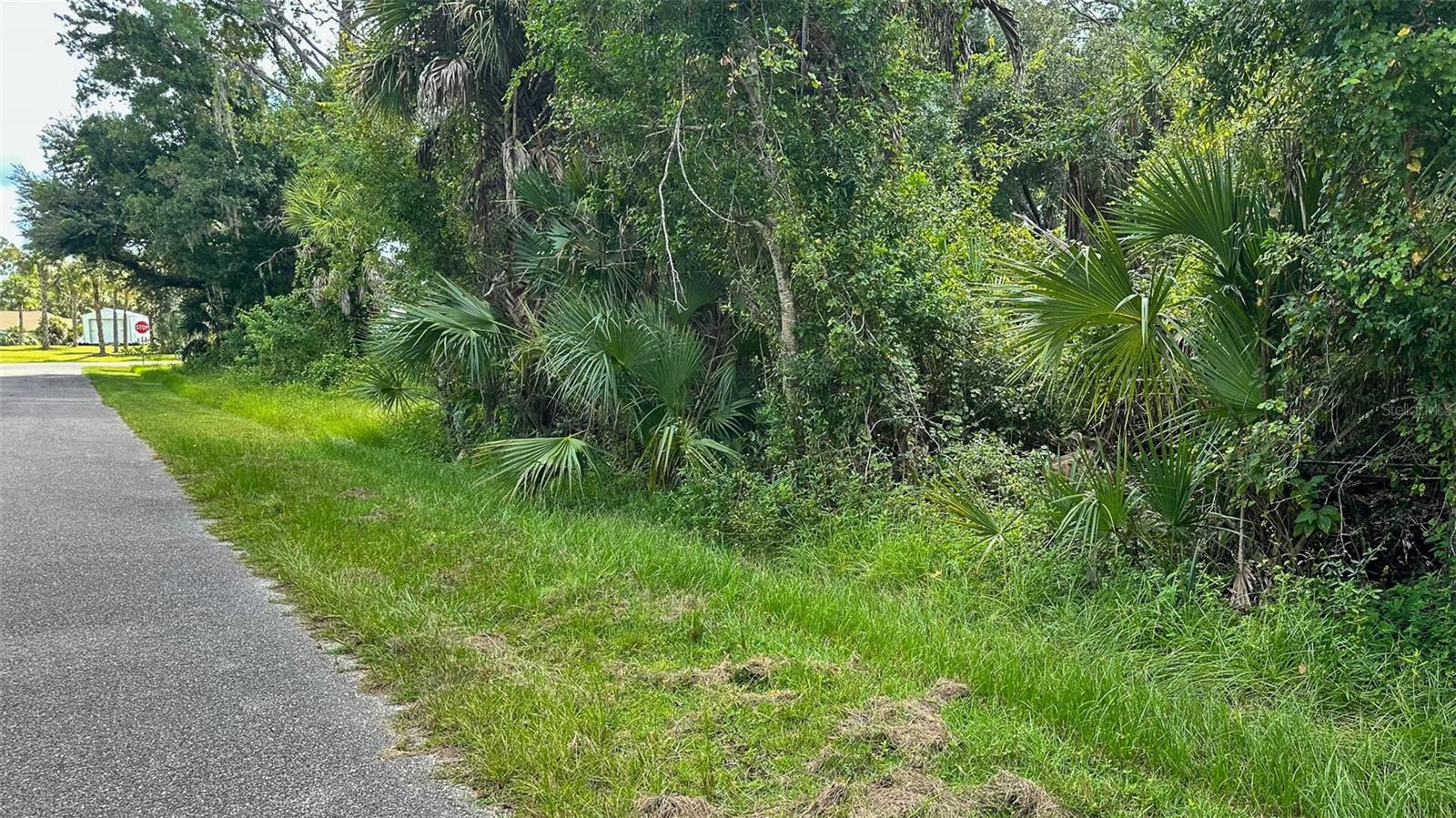 Image 13 of 19 For Lot 12 Walmsley Avenue