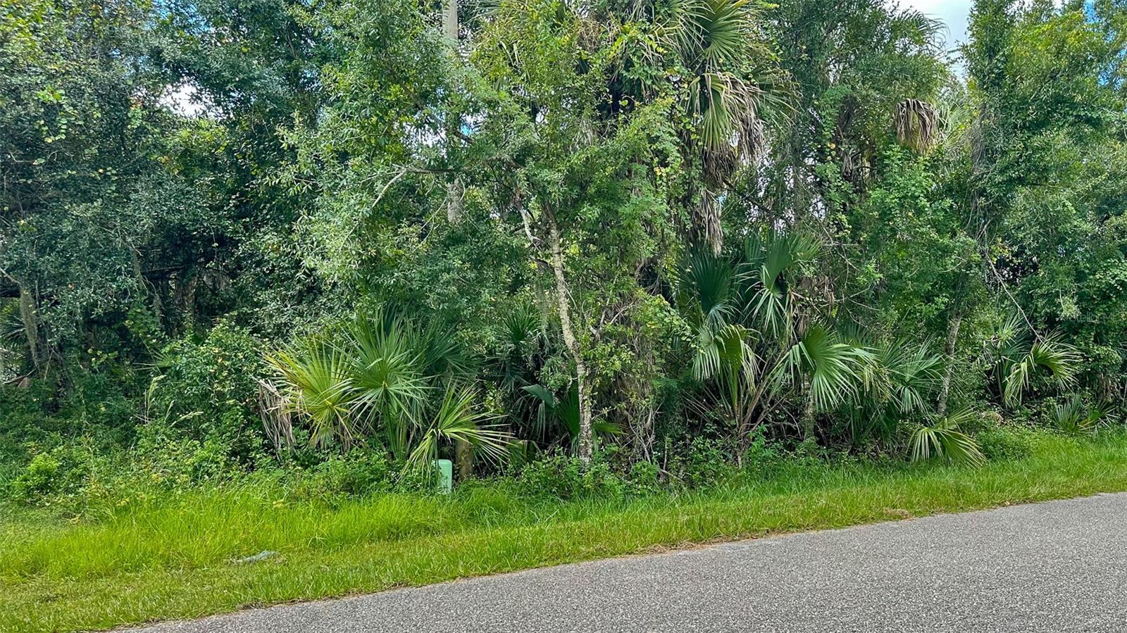 Image 4 of 19 For Lot 12 Walmsley Avenue