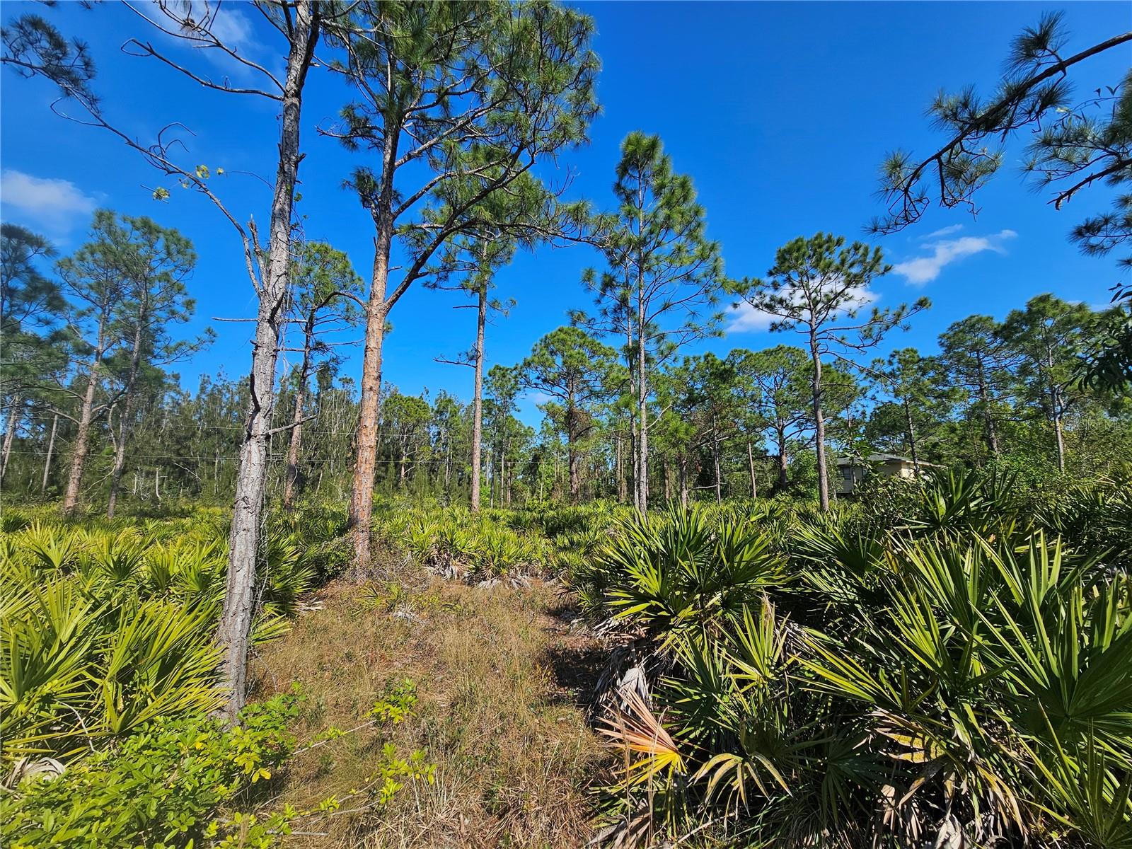 Image 10 of 14 For 27342 Balboa Drive