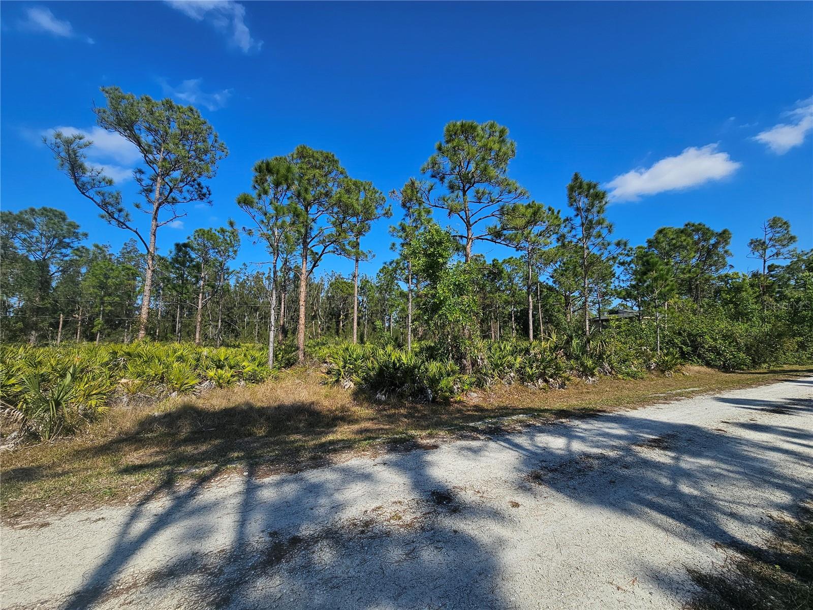 Image 11 of 14 For 27342 Balboa Drive