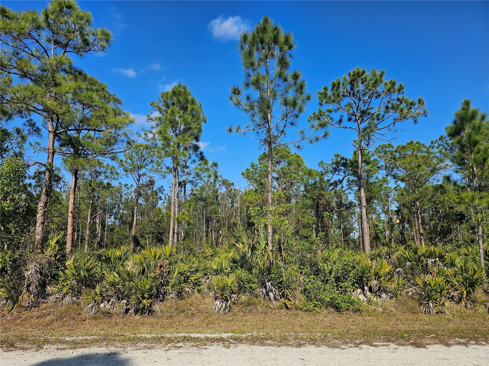 Image 13 of 14 For 27342 Balboa Drive