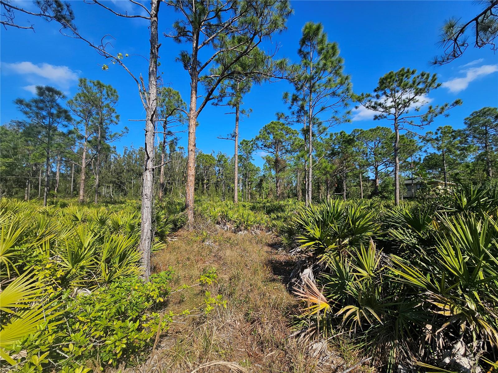 Image 8 of 14 For 27342 Balboa Drive