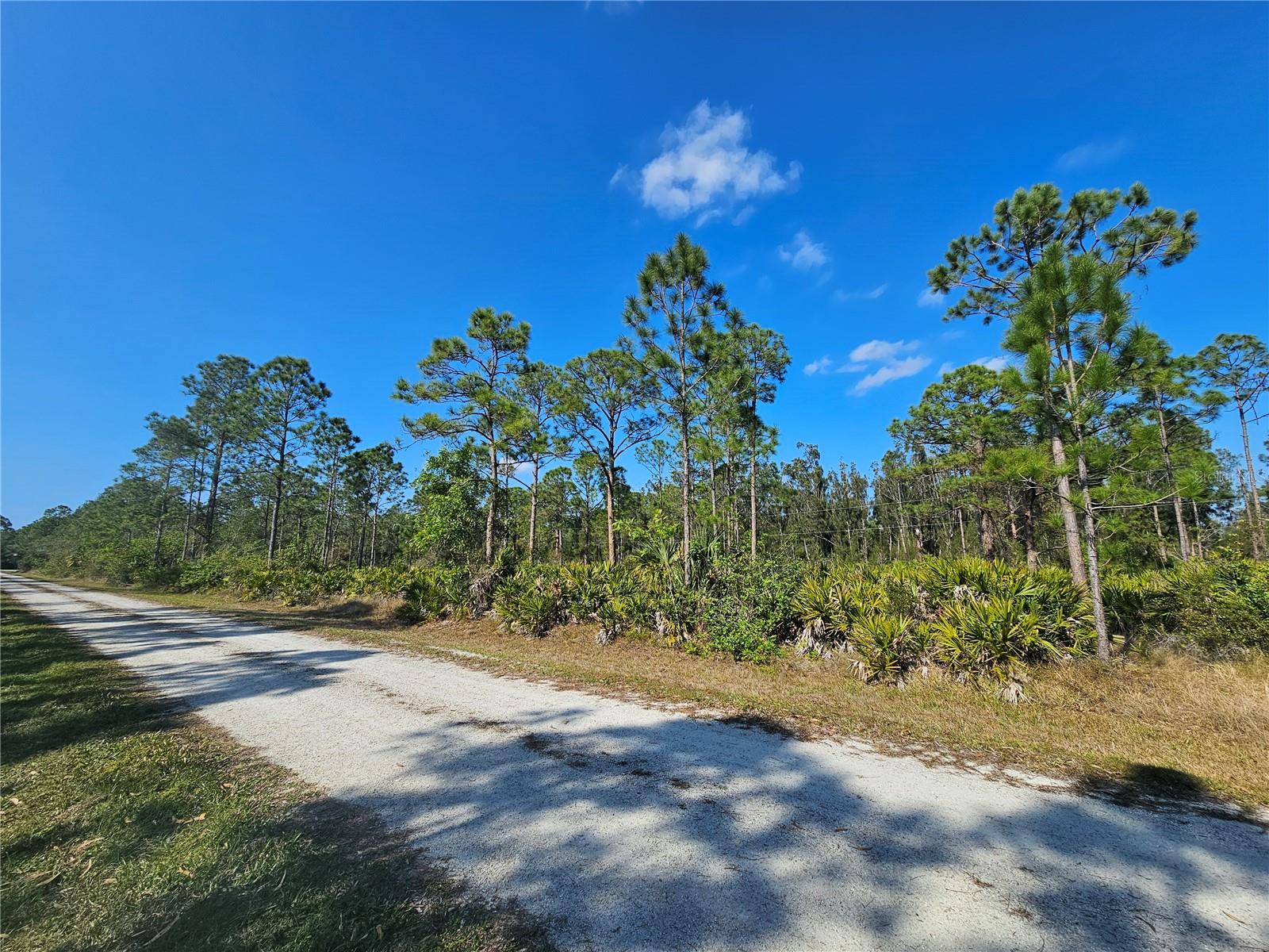 Image 9 of 14 For 27342 Balboa Drive