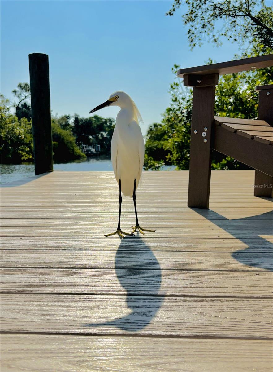 Image 27 of 32 For 3000 Banyan Way