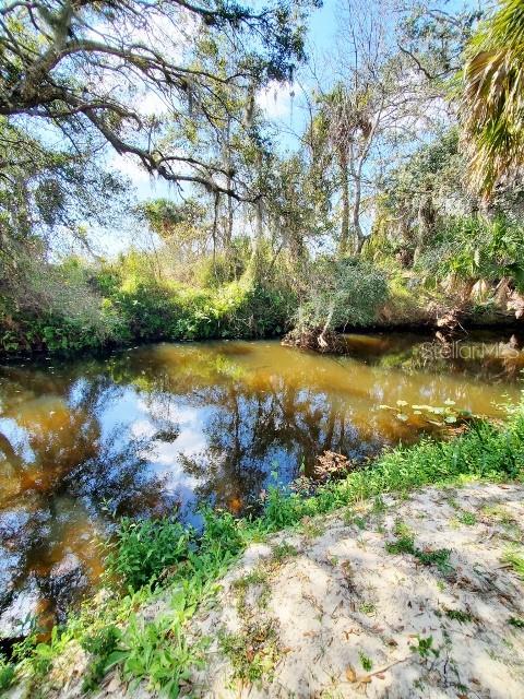 Image 16 of 23 For 27205 Jones Loop Rd. # 31