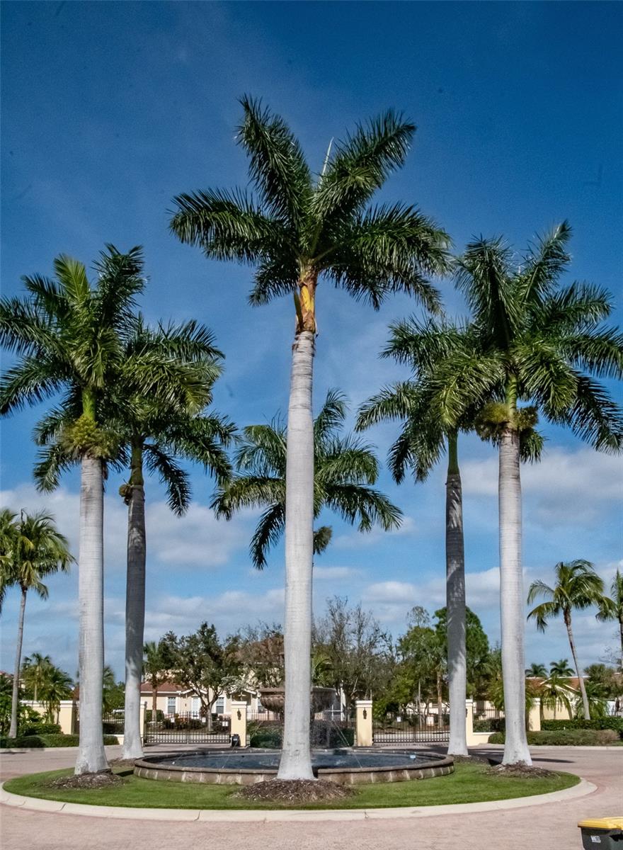 Image 57 of 57 For 255 End Drive 3202