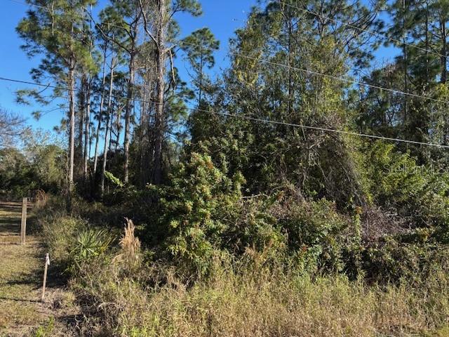 Image 2 of 5 For 13636 Sulky Drive