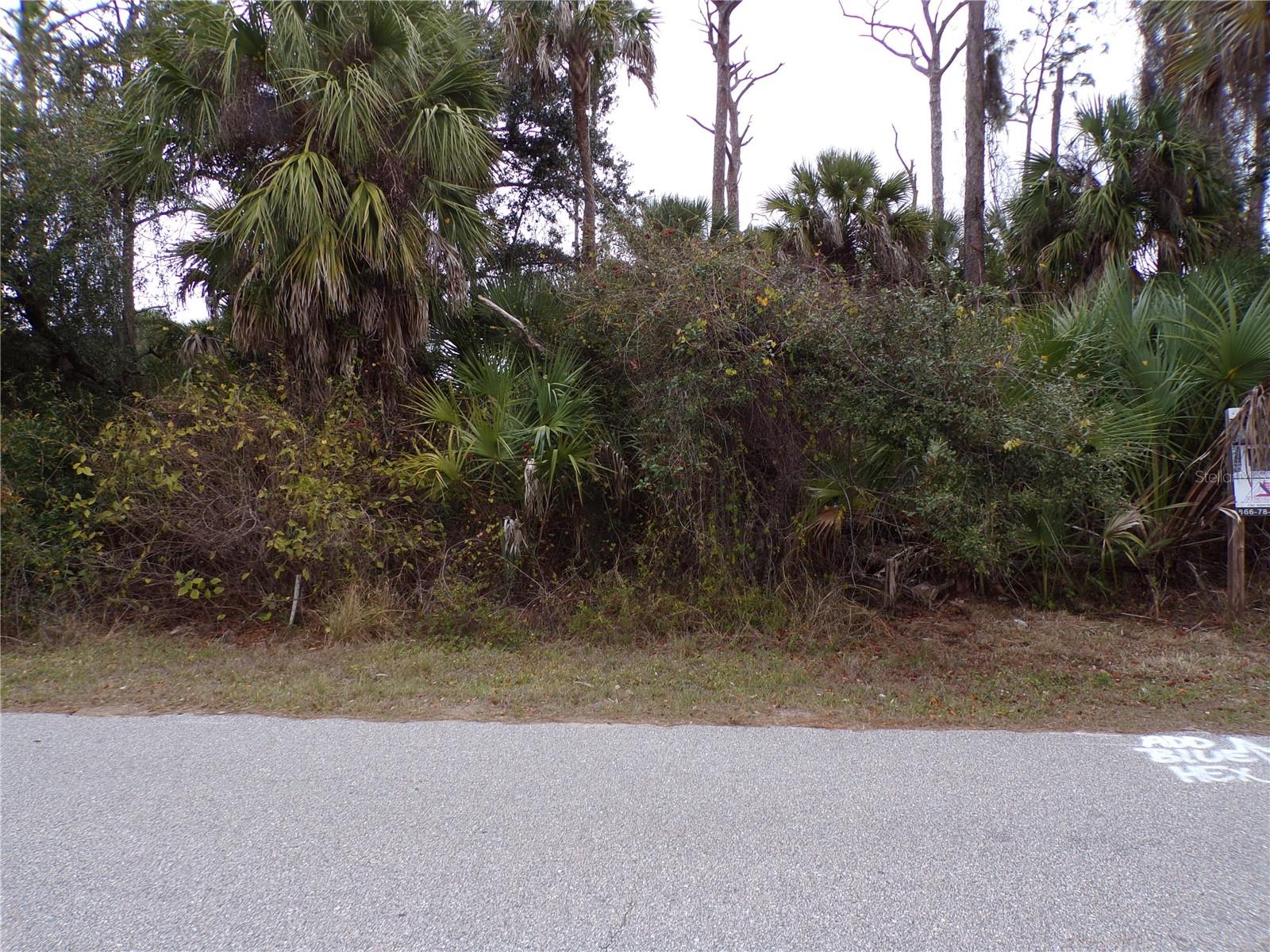 Listing photo id 3 for  Music Lane 