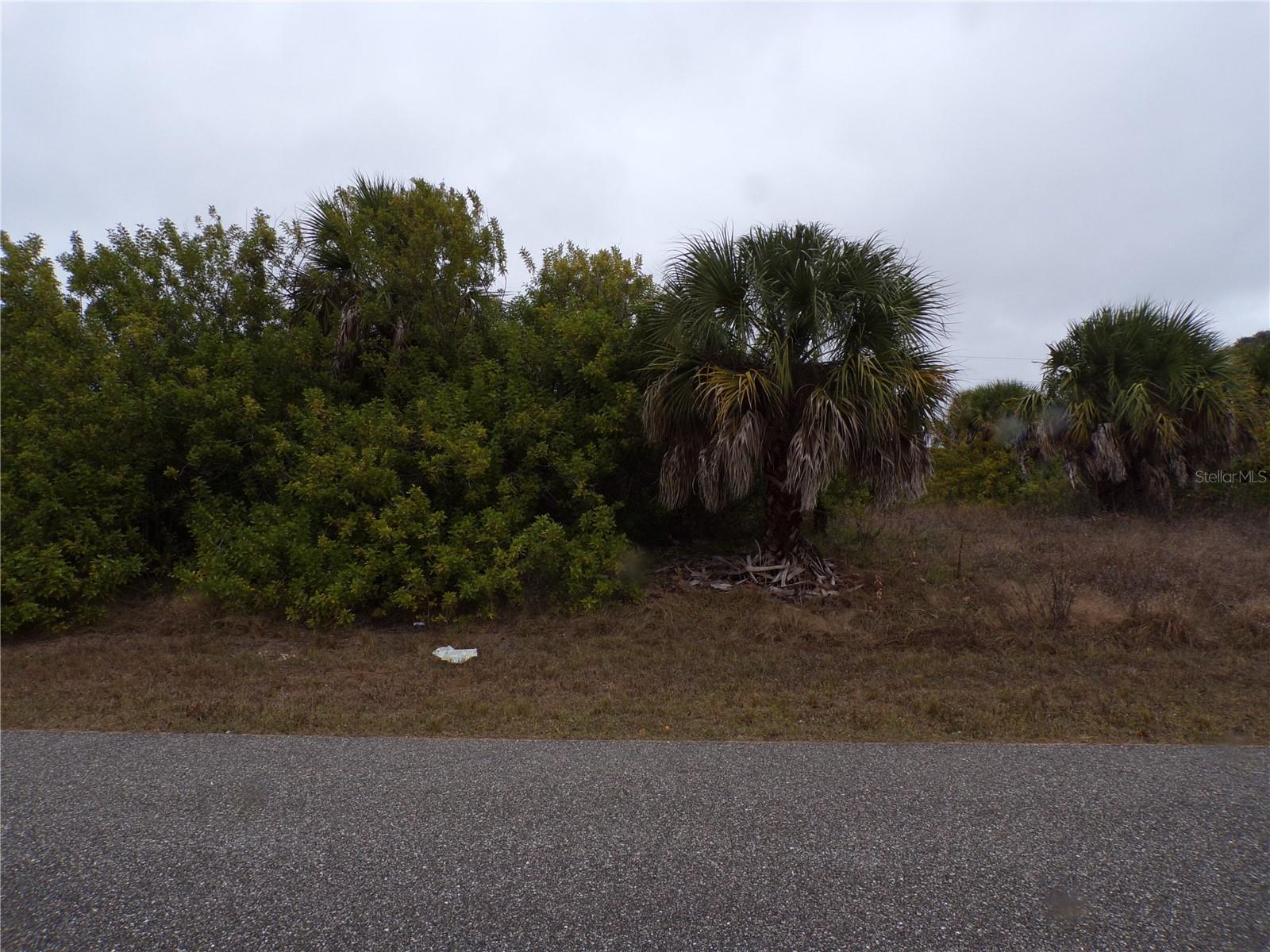 Image 5 of 11 For Holster Avenue