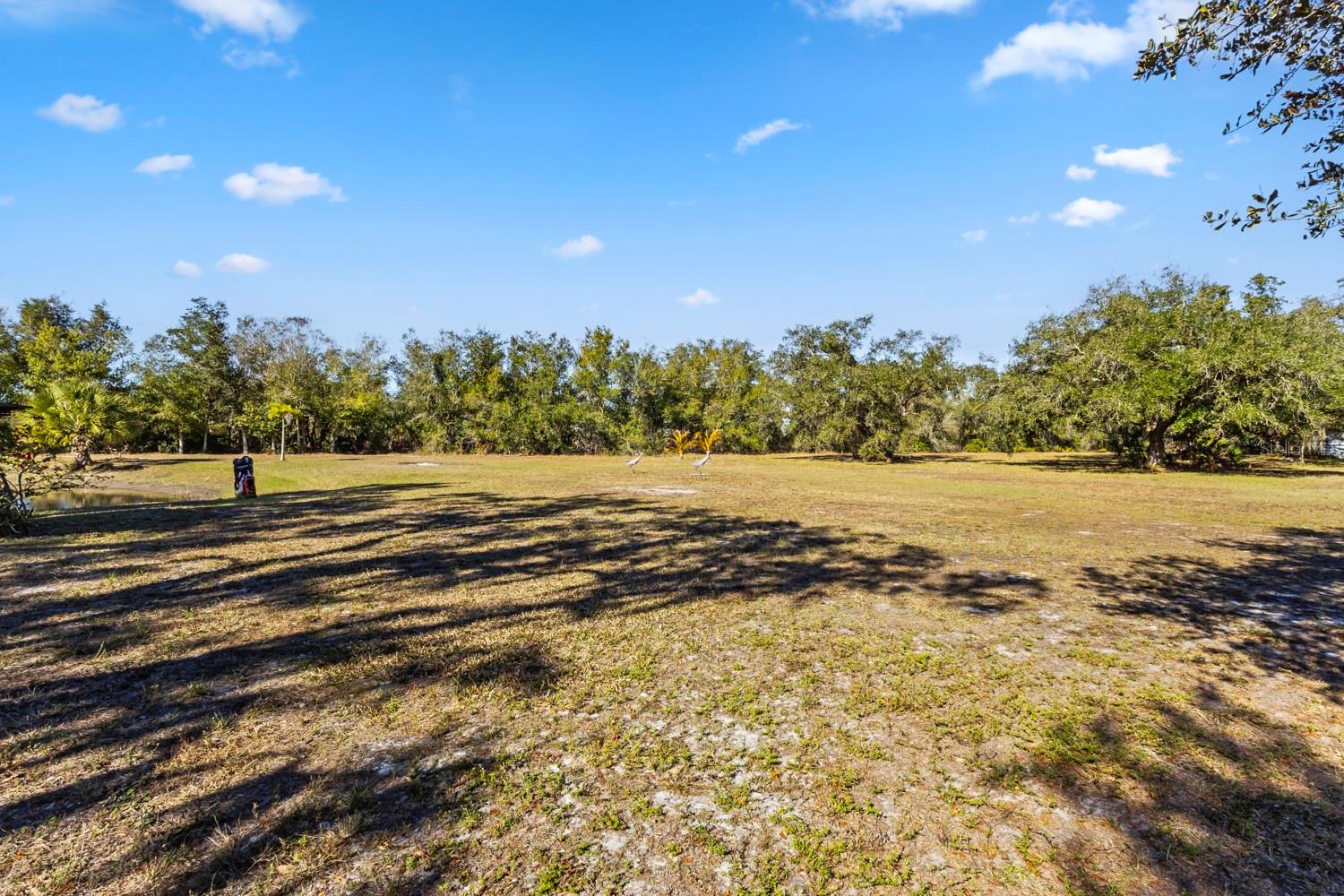 Image 27 of 39 For 29414 Pine Villa Circle