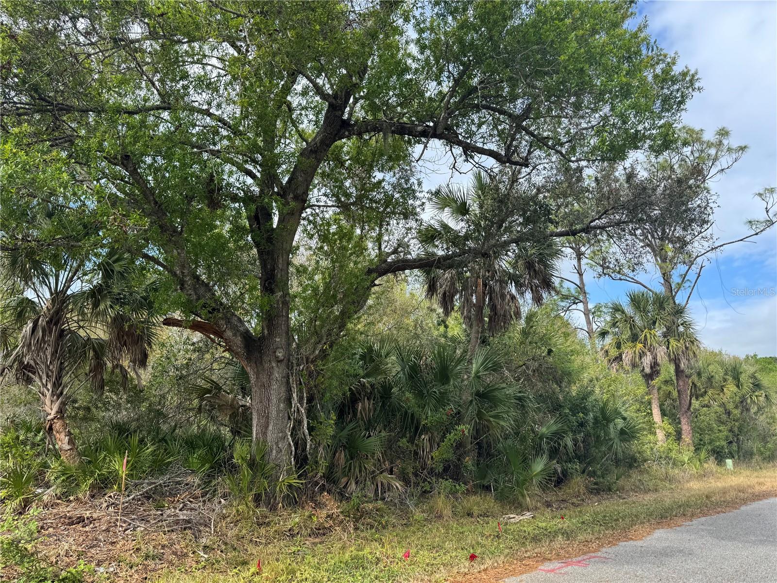 Image 2 of 7 For 2433 Largo Street