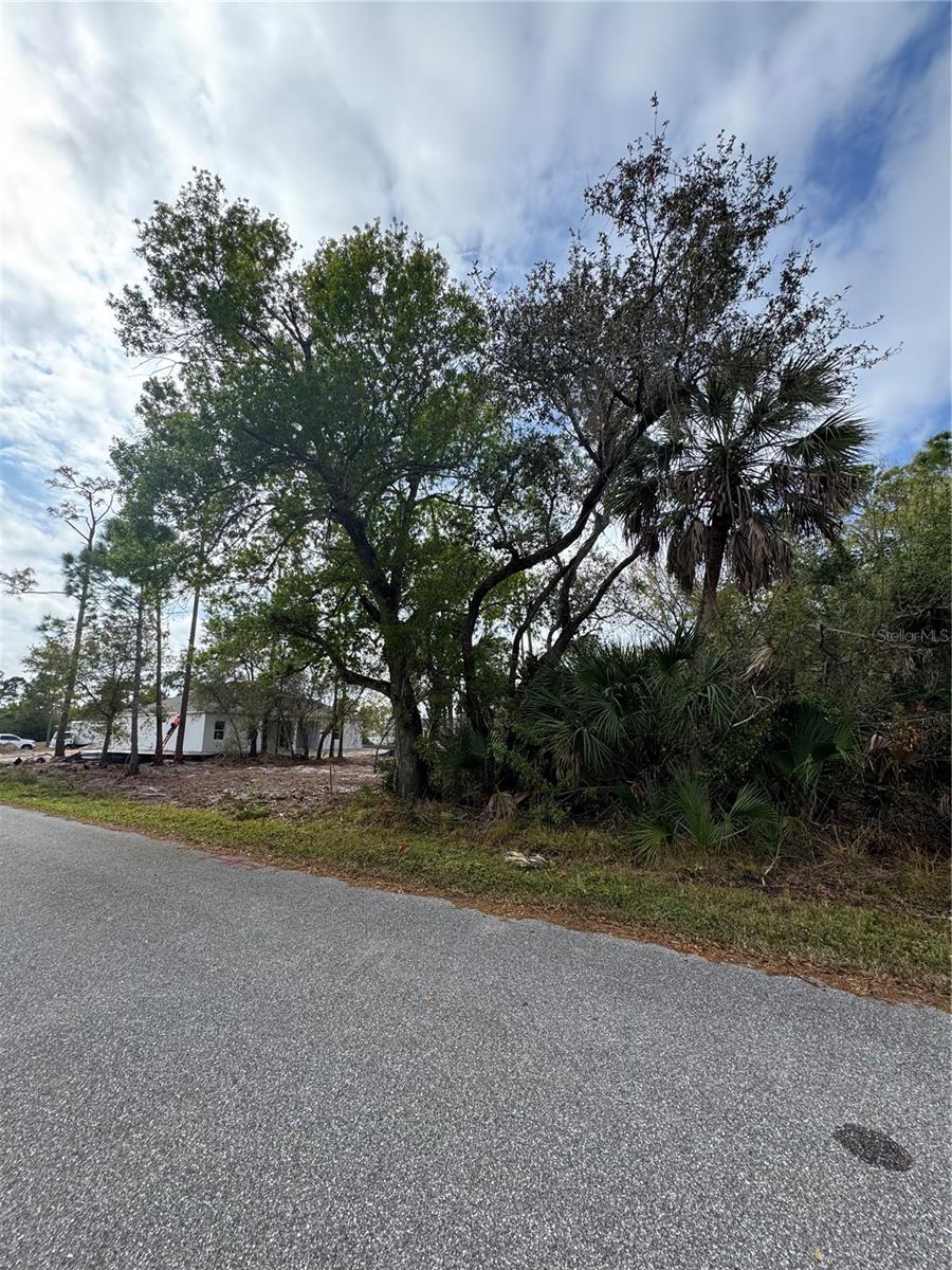 Image 5 of 7 For 2433 Largo Street