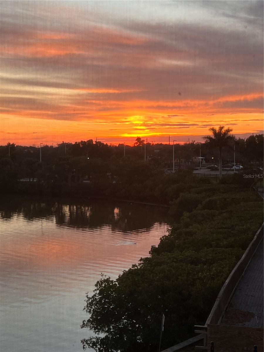 Image 49 of 50 For 200 Harbor Walk Drive 233