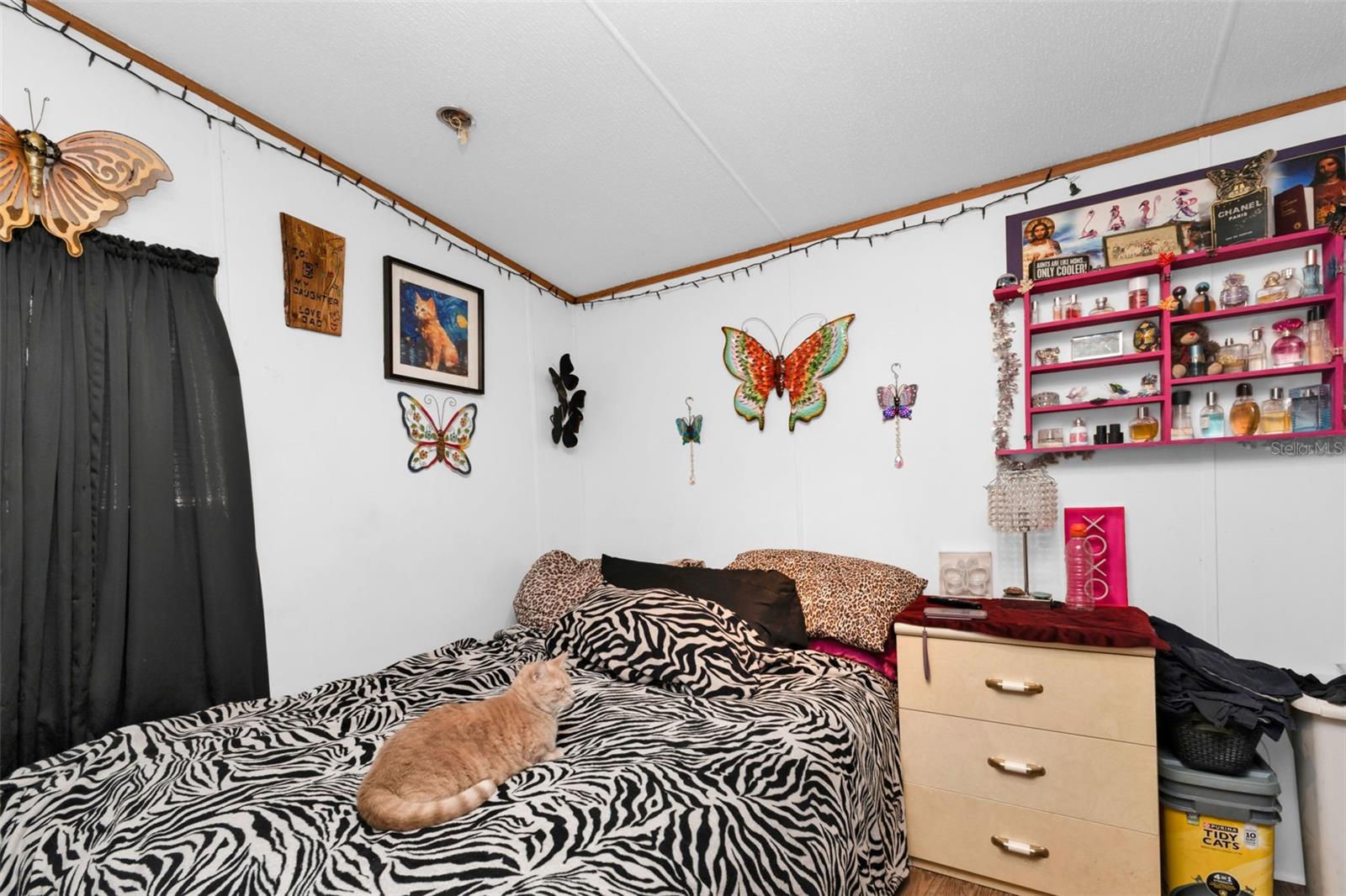 Image 11 of 24 For 6128 Padula Street