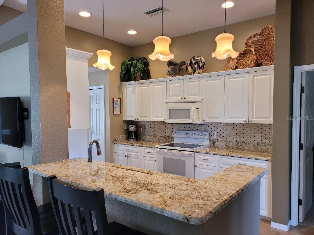 Image 8 of 37 For 223 Big Pine Lane