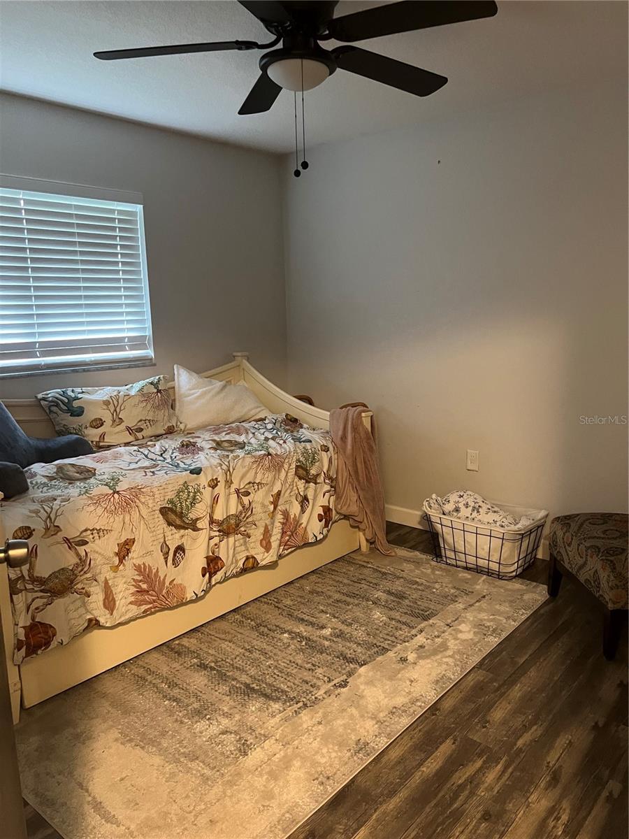 Image 26 of 41 For 2479 Wimpole Street