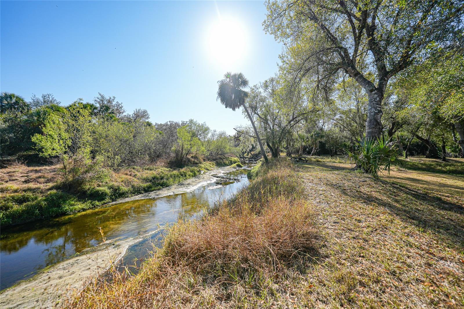 Image 44 of 55 For 4144 Armadillo Trail