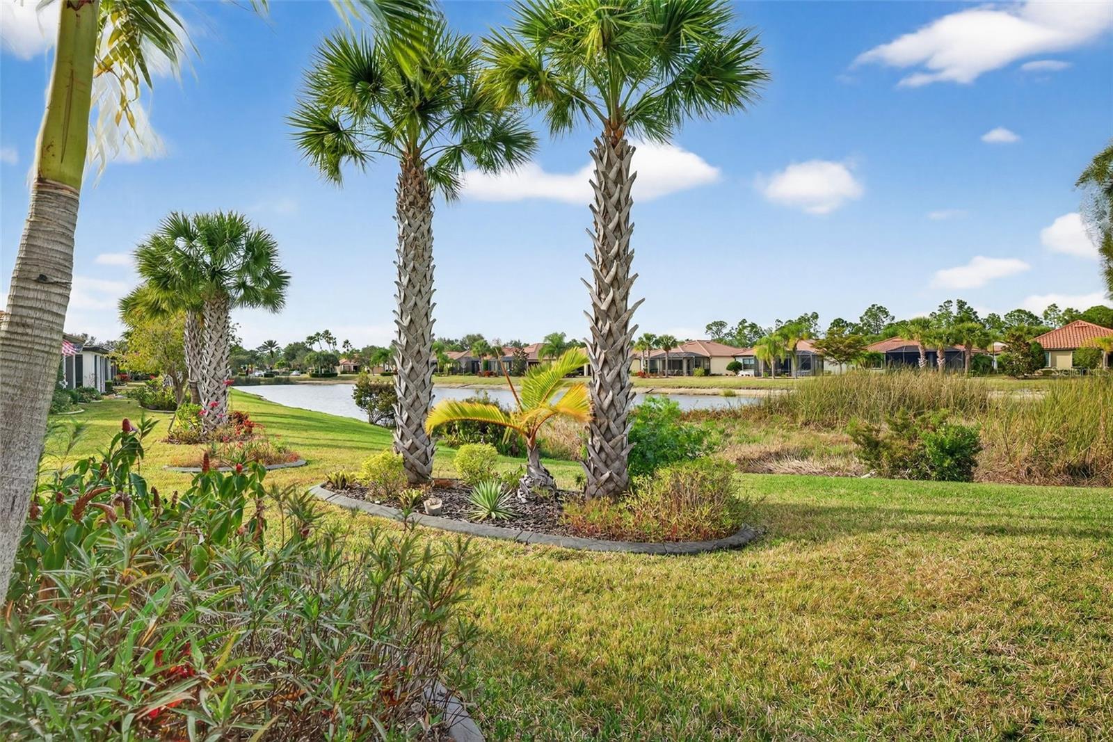 Image 29 of 33 For 1506 Hyssop Loop