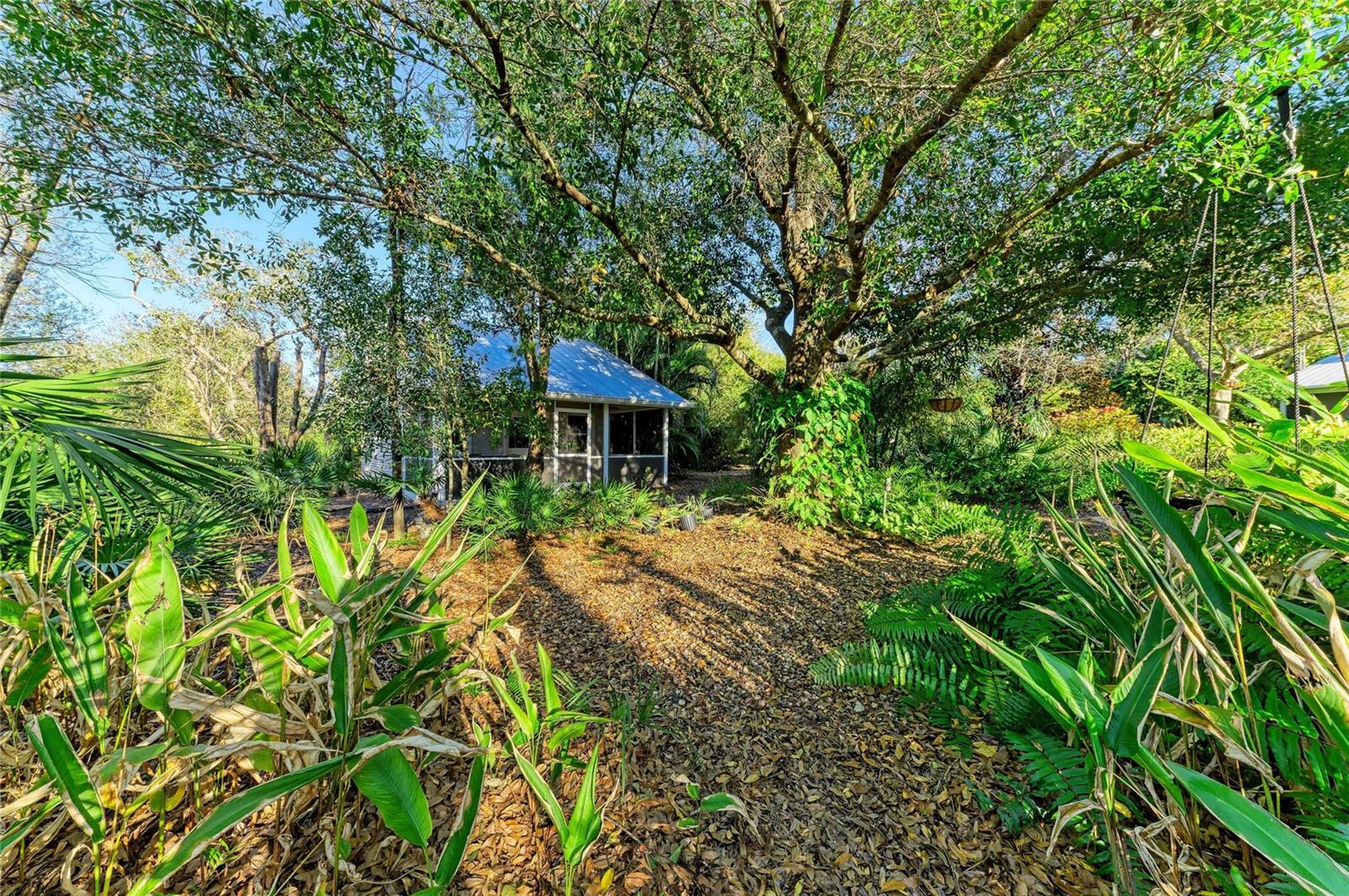 Image 87 of 98 For 39321 Washington Loop Road