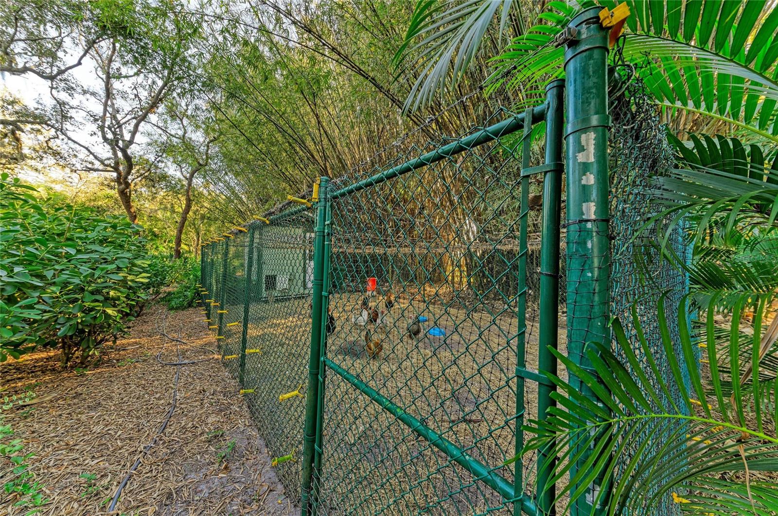 Image 98 of 98 For 39321 Washington Loop Road