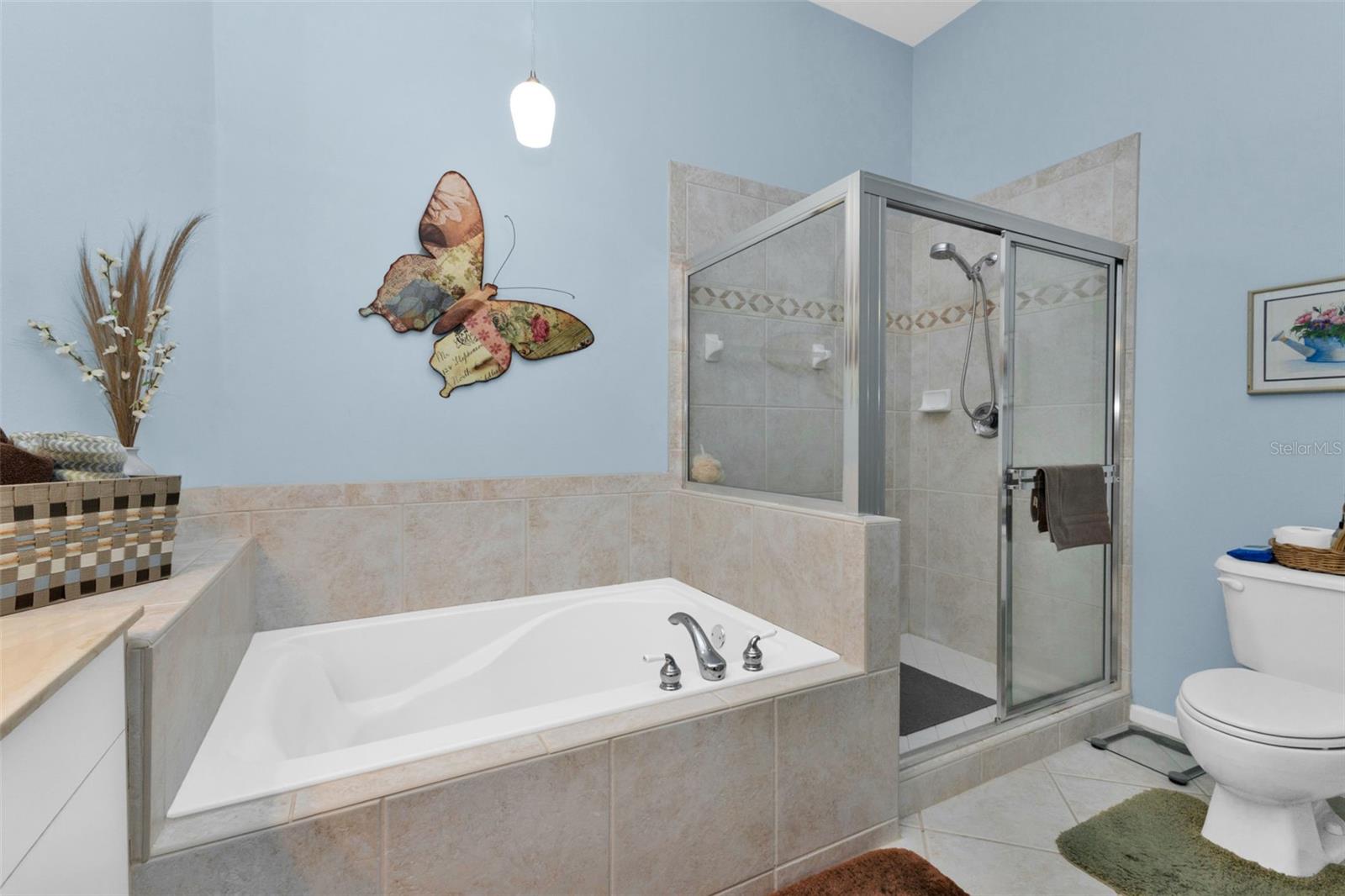 Image 25 of 62 For 3353 Grand Vista Court 203