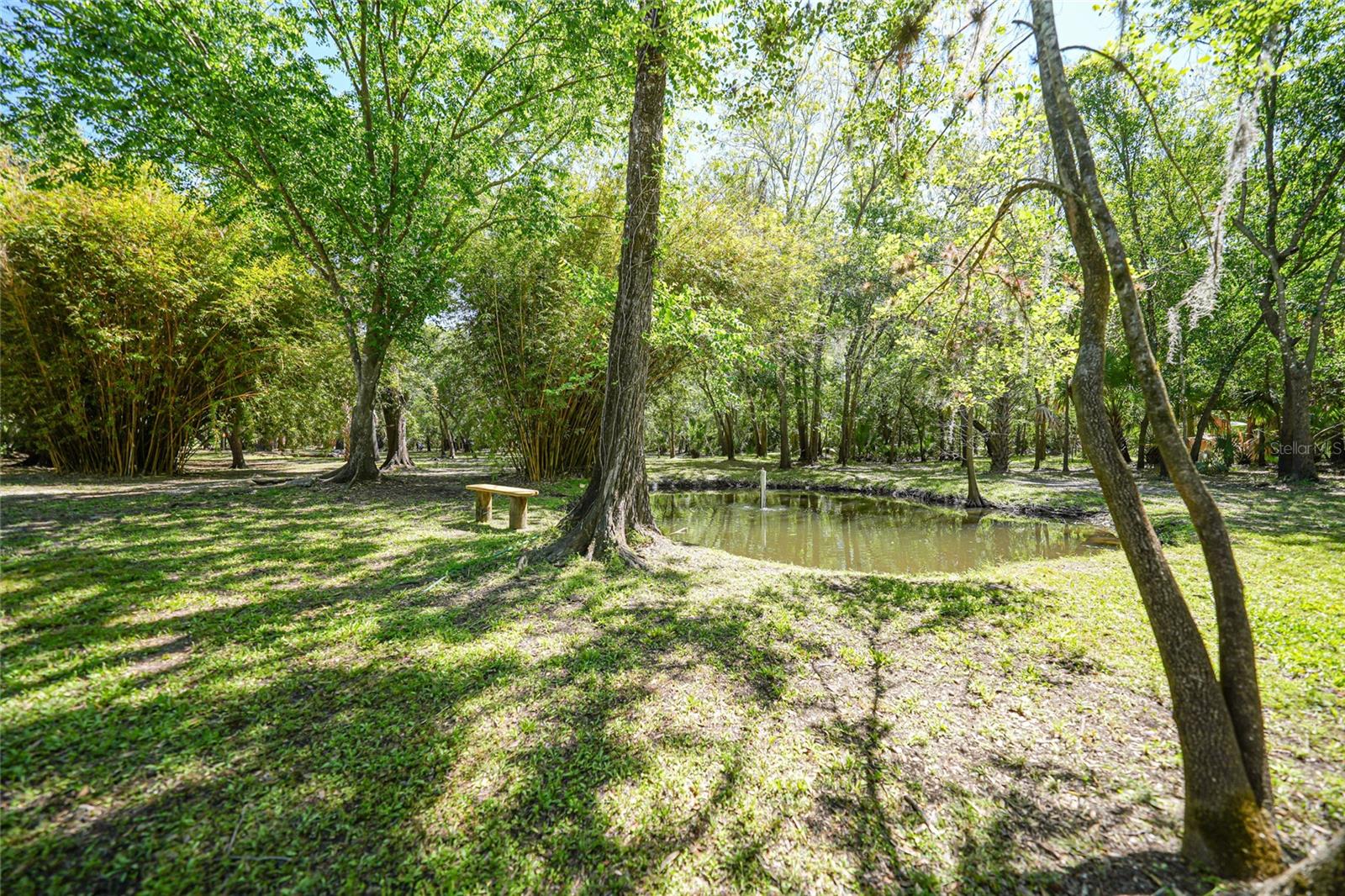 Image 37 of 74 For 5722 Tram Line Road